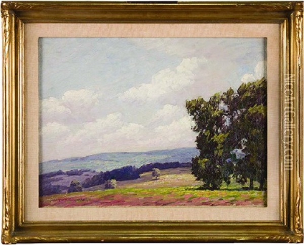 Sunny Landscape Oil Painting - Andrew T. Shwartz