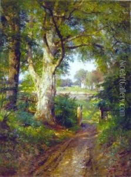 A View Through The Trees Oil Painting - Hugo Darnaut