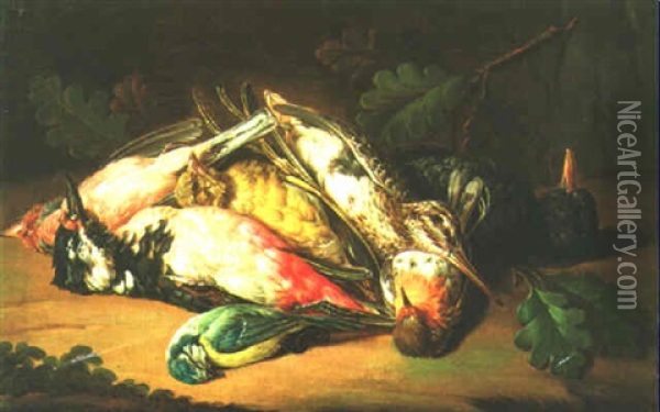 Still Life Of Birds Oil Painting - Johann Georg de Hamilton