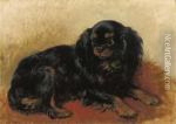 A Prince Charles Dog Oil Painting - Henriette Ronner-Knip