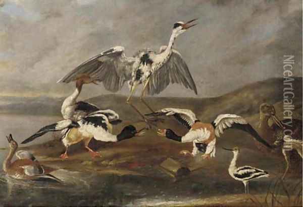 Ducks, a heron and other birds on a bank Oil Painting - Ferdinand Phillip de Hamilton
