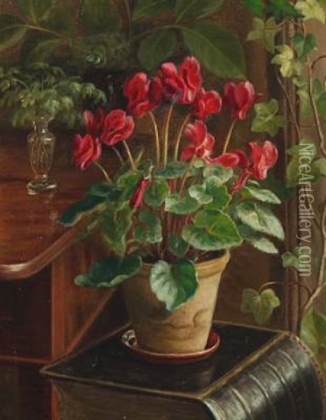Still Life With Cyclamen Oil Painting - Anina Poulsen