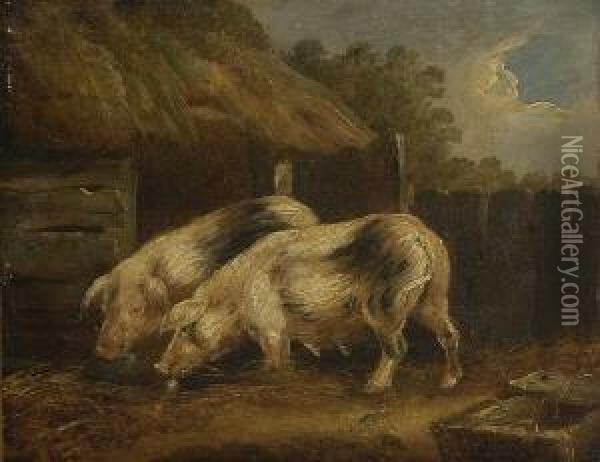 Zwei Schweine Vor Dem
 Stall. Oil Painting - James Ward