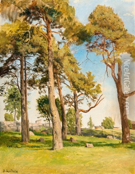 Landscape With Pine Trees Oil Painting - Berndt Adolf Lindholm