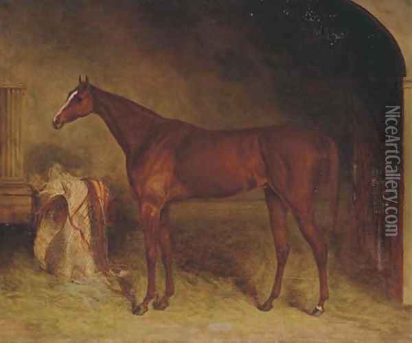 A chestnut racehorse in a stable, Newmarket Oil Painting - Harry Hall