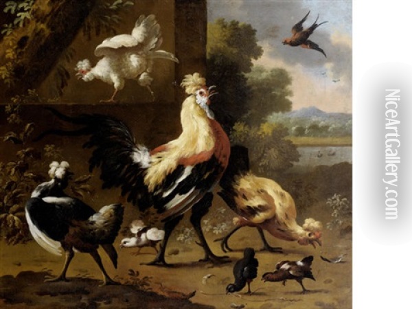 A Cockerel, Chickens, Fledglings And Other Birds In A Landscape Oil Painting - Melchior de Hondecoeter
