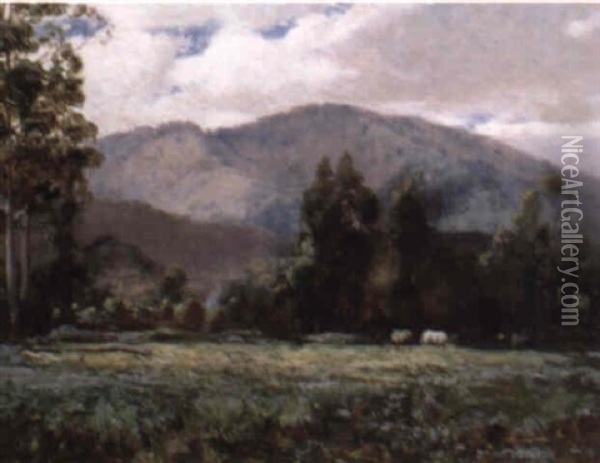 Mt. Manda, Healesville, Victoria Oil Painting - John Mather