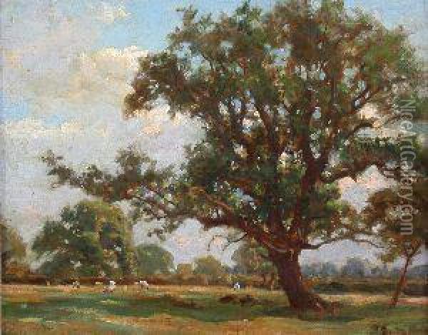 Oak-tree In Summer Oil Painting - Robert Payton Reid