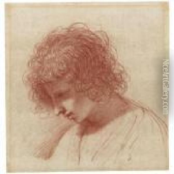 Head Of A Young Man In Profile, Looking Down To The Left Oil Painting - Guercino