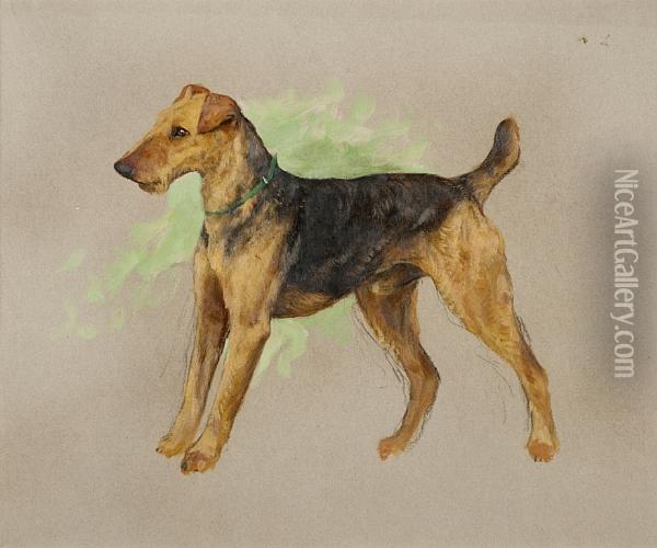 An Airedale Terrier Oil Painting - Arthur Wardle