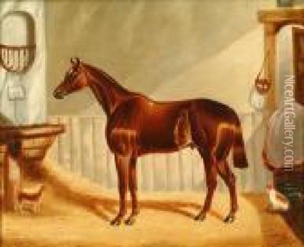 Toptham: Study Of Bayhorse In A Stable Interior Oil Painting - Harry Hall
