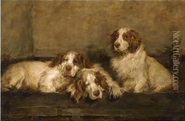 Clumber Spaniels In A Kennel Oil Painting - John Emms