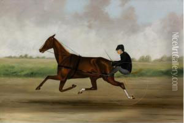 A Brisk Ride Oil Painting - William Van Zandt