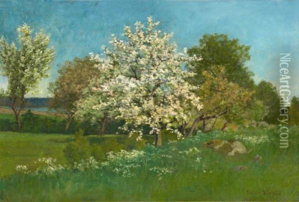 Blossoming Fruit Tree Oil Painting - Oscar Emil Torna