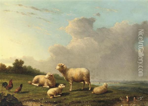 Sheep In A Meadow Oil Painting - Franz van Severdonck