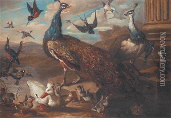 Peacocks, Swallows, Kingfishers, Ducks, And Duckling Beside A Stone Ledge And Column In A Landscape Oil Painting - Jakob Bogdani