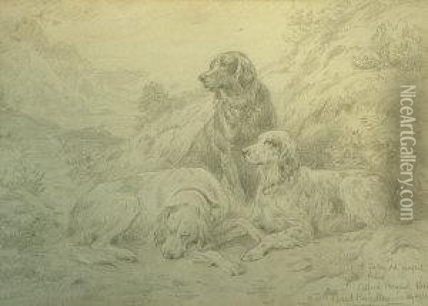 Study Of Three Setters In A Landscape Oil Painting - Basil Bradley