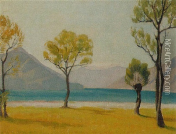 Blick Auf See Und Gebirge Oil Painting - Franz Jakob Elmiger