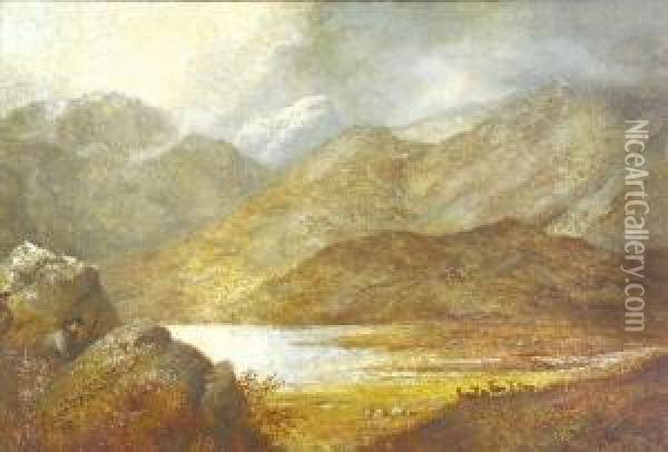 Dundonnell Forest, Westeross, Scotland Oil Painting - Alexander Leggett