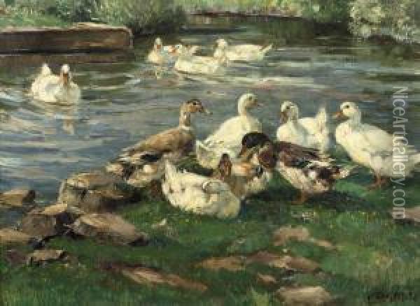 Enten Am Bach: Ducks By A Pond Oil Painting - Willy Tiedjen