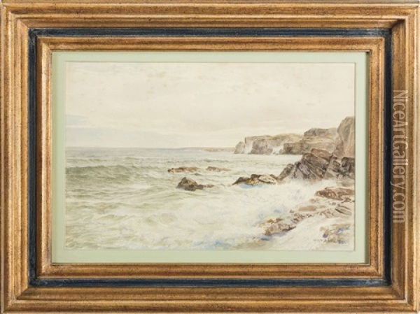 The Cliffs, Newport, Rhode Island Oil Painting - William Trost Richards