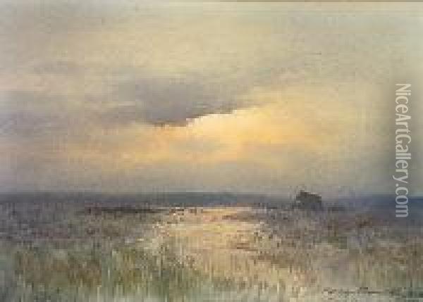 Sunset On The Bog Of Allen Oil Painting - William Percy French