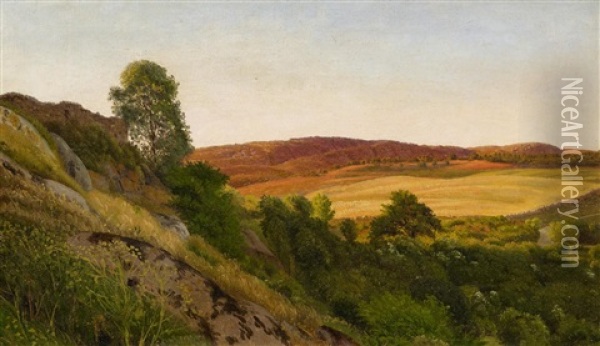 Landschaft Auf Bornholm Oil Painting - Vilhelm Peter Karl Kyhn