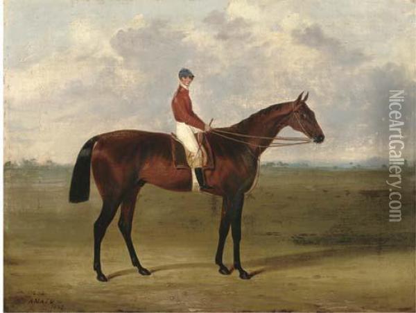 Amato, With Jockey Up Oil Painting - John Frederick Herring Snr