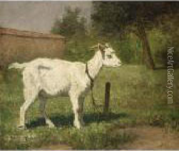 A Goat In A Meadow Oil Painting - Henriette Ronner-Knip