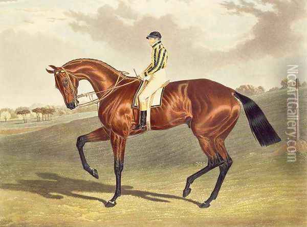 Bay Middleton winner of the Derby in 1836 Oil Painting - John Frederick Herring Snr