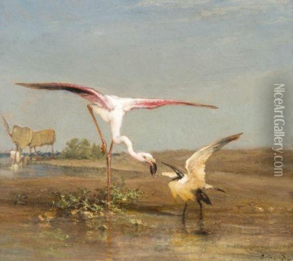 Flamant Et Ibis Oil Painting - Charles Emile Vacher De Tournemine