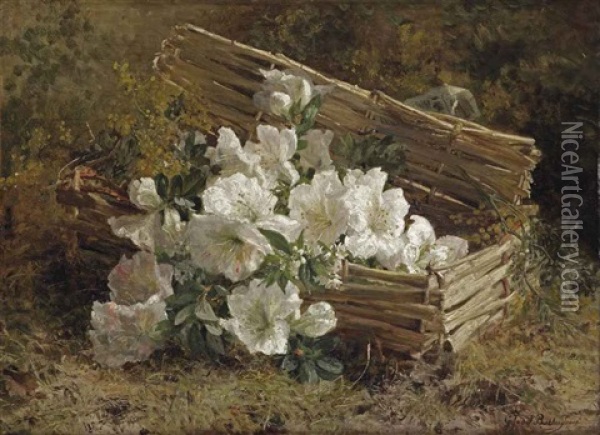 White Azaleas And Mimosas In A Wicker Basket On A Forest Floor Oil Painting - Gerardina Jacoba van de Sande Bakhuyzen