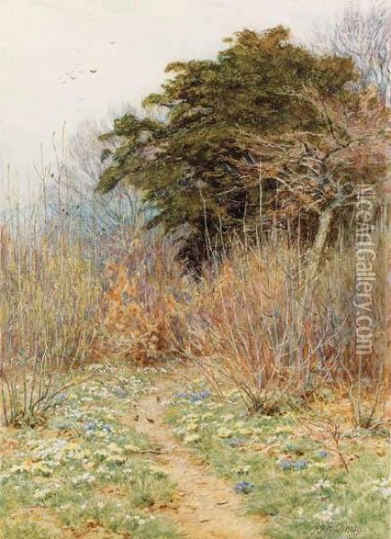 In A Spring Copse: 'here The White-rayed Anemone Is Born' Oil Painting - Helen Mary Elizabeth Allingham