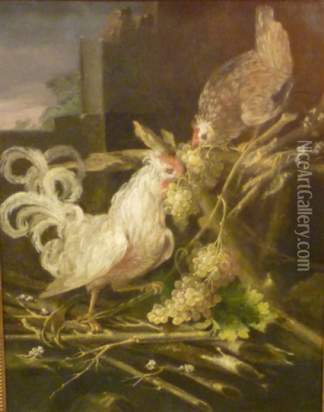 Coq Et Poule Oil Painting - Melchior de Hondecoeter