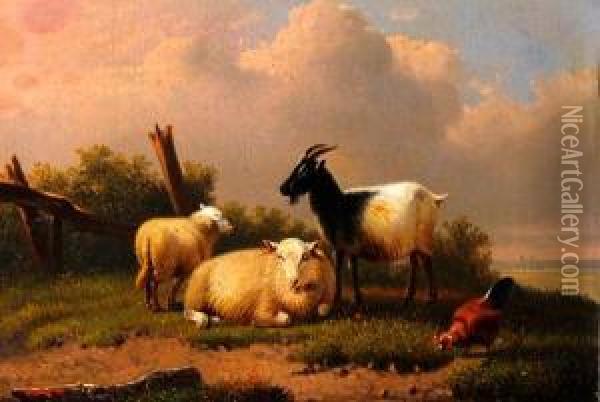 Goat, Sheep And Chicken Seated On A Grassy Path Oil Painting - Joseph Van Dieghem