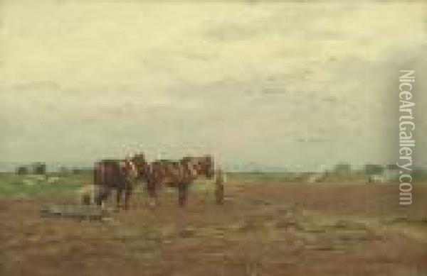 Harrowing The Fields Oil Painting - Frederick William N. Whitehead