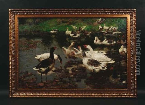 Eine Schar Wildganse Hat Sich An Einem Teich Niedergelassen Oil Painting - Adolf Lins