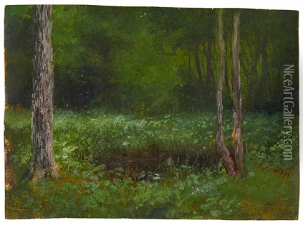 Lichtung Im Waldesinneren Oil Painting - August Bedrich Piepenhagen