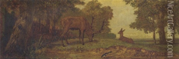 Grazing Deer In A Wooded Landscape Oil Painting - Martinus Antonius Kuytenbrouwer the Elder