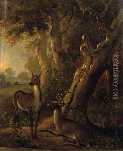 A Deer And A Stag In A Wooded Landscape Oil Painting - Carl Borromaus Andreas Ruthart
