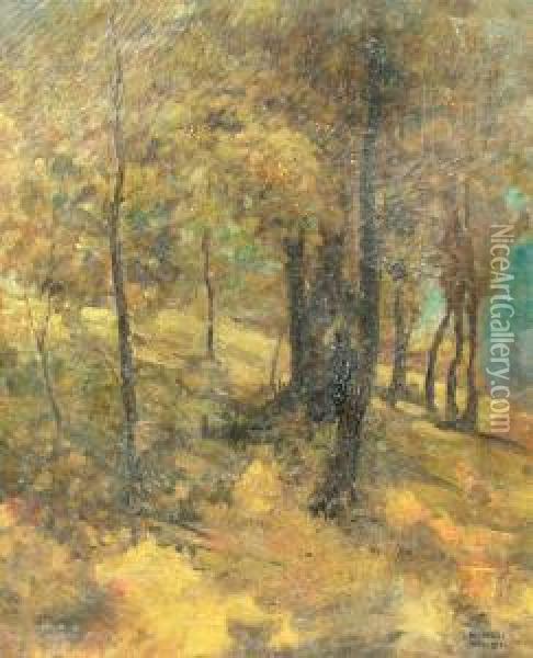 Forest In Autumn Oil Painting - Kimon Loghi