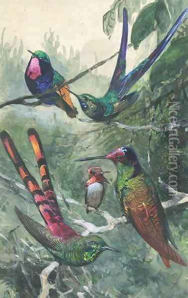 Wildlife and ornithological studies Oil Painting - Wilhelm Kuhnert