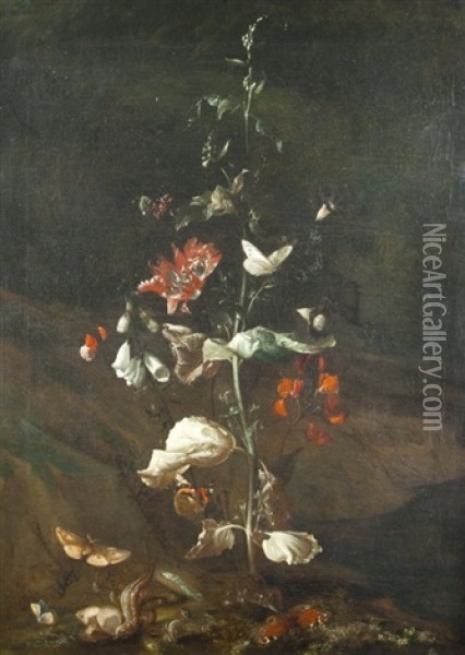 Blumenstilleben Mit Insekten Und Reptilien Oil Painting - Otto Marseus van Schrieck