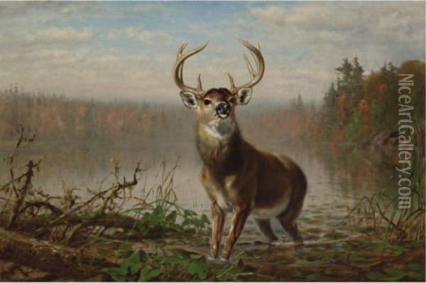 On The Alert Oil Painting - Arthur Fitzwilliam Tait