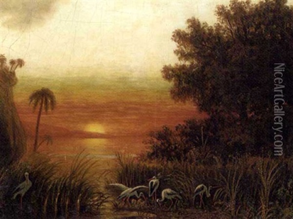 South American Landscape With Storks By A Lake At Sunset Oil Painting - Eduard Hildebrandt