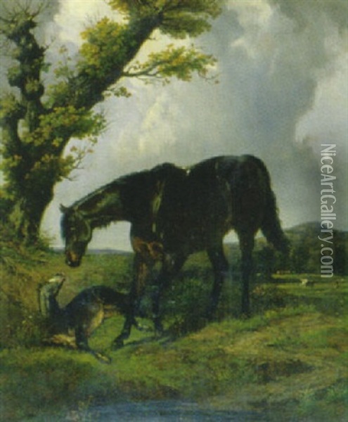 Stute Mit Fohlen Oil Painting - Henri d'Ainecy Montpezat