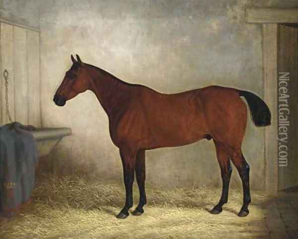 A bay hunter in a stable Oil Painting - Edward Brown