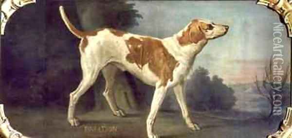 Briador a Dog from the Conde Pack Oil Painting - Alexandre-Francois Desportes