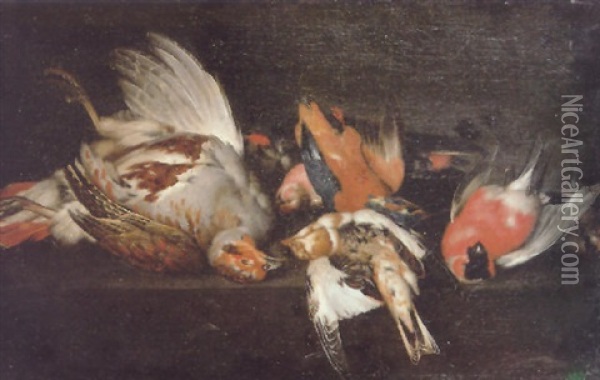 A Still Life Of A Dead Partridge, Bullfinch, Kingfisher And Other Birds On A Stone Ledge Oil Painting - Philipp Ferdinand de Hamilton