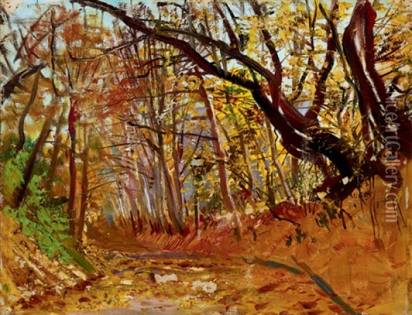 Sunny Fall Forest Oil Painting - Laszlo Mednyanszky